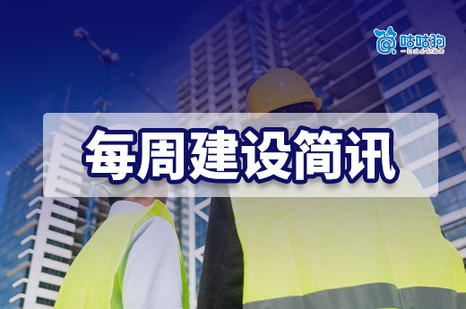 河南省住房城乡建设厅重拳整治建筑市场